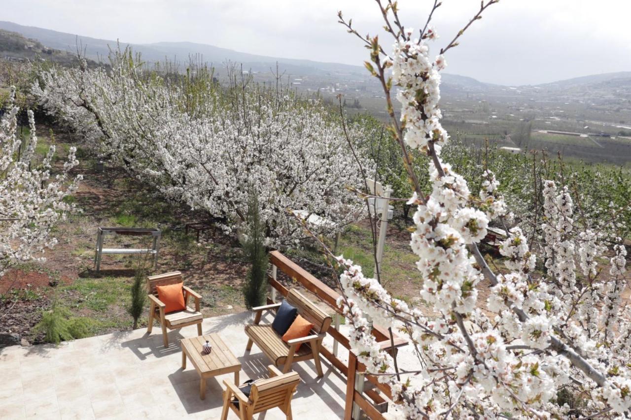Oriental Nature Majdal Shams Buitenkant foto