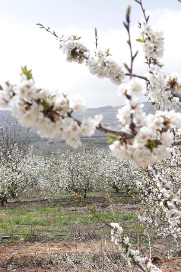 Oriental Nature Majdal Shams Buitenkant foto