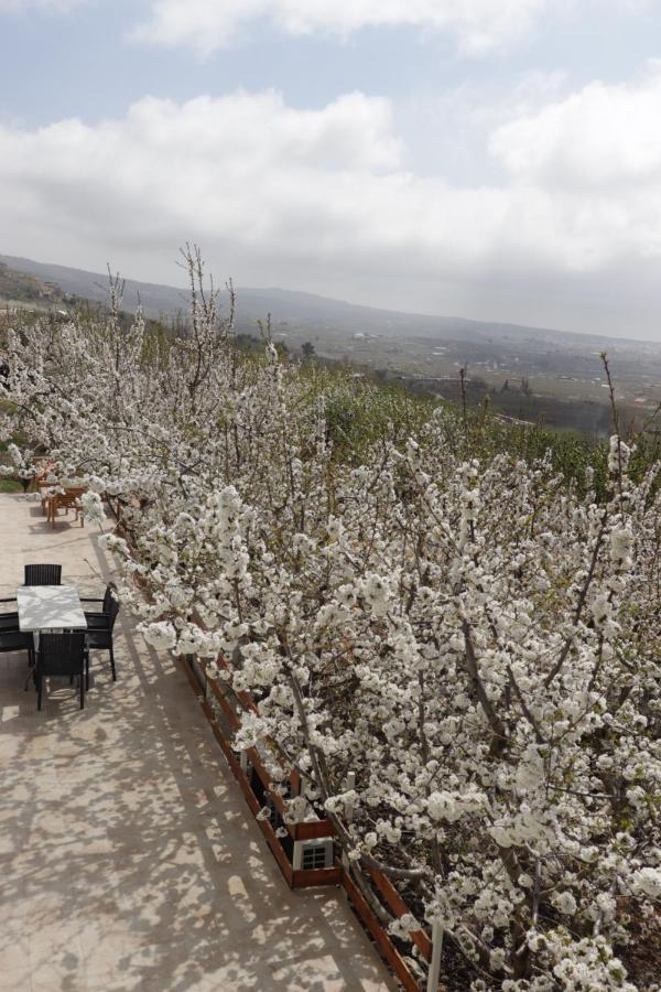 Oriental Nature Majdal Shams Buitenkant foto